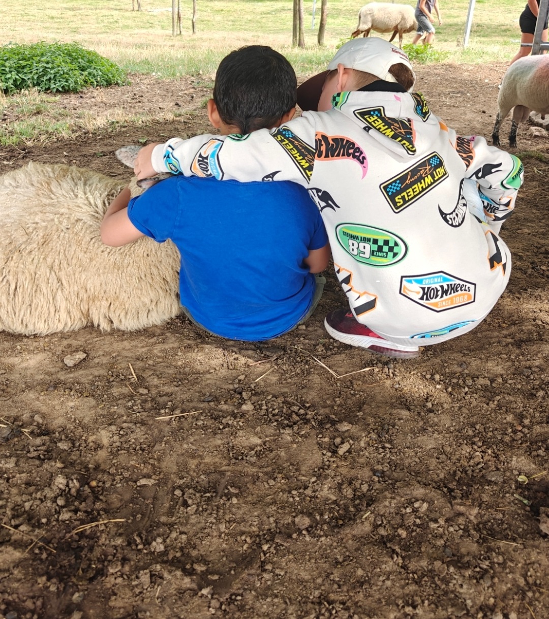 Kinder und Jugendliche auf dem Erlebnisbauernhof