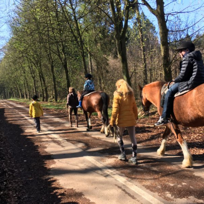 Reittherapie